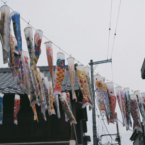 Koinobori Flying Carp Craft 